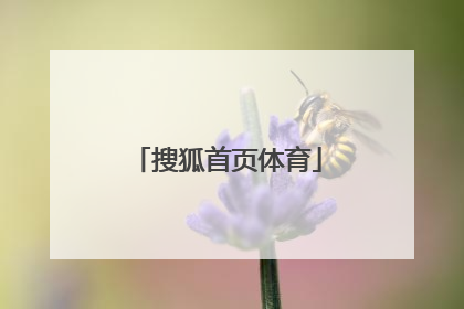 「搜狐首页体育」sohu搜狐首页 体育