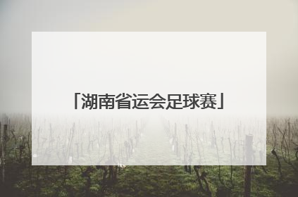 「湖南省运会足球赛」江苏省运会足球赛