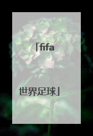 「fifa世界足球」fifa世界足球组合包卡槽已满